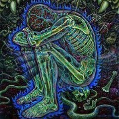 Lorenzo Blanco Sguanci