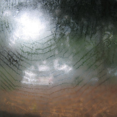 closer to ground to hear