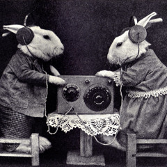 Bunny Radio