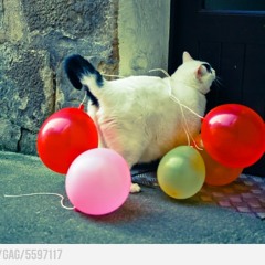 Chris Isaak - Wicked Game (Adriatique & Thyladomid Edit)