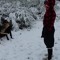 Segree Haker