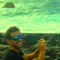 mikemayer