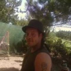 Psytoon pro 2       (x)