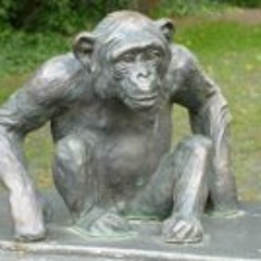 Hanns-Lutz Oppermann