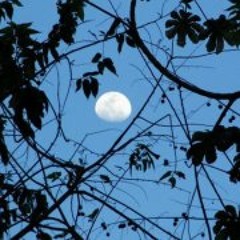 Azomali Cuicacani Garcia