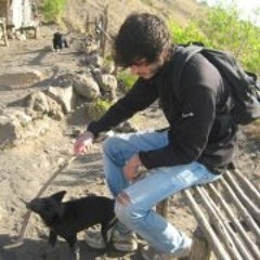 Dimitri'Brigade Papage