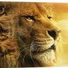 Daniel Rodríguez 196