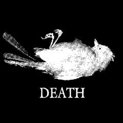 CoffinnaiIs