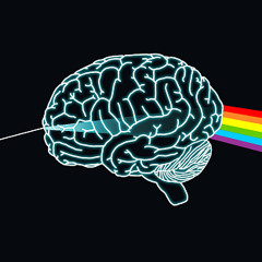 Brain Damage Pink Floyd