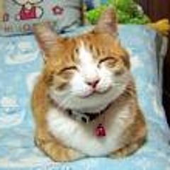 mazzymeow