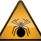 Warning! Its a spider!