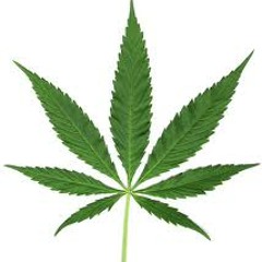 weed4life