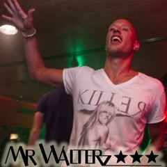 Mr Walterz
