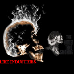 HIGH LIFE INDUSTRIES