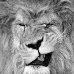 Harry Alphaunitus Malone