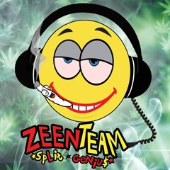 ZeenTeam