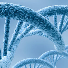 Double Helix project