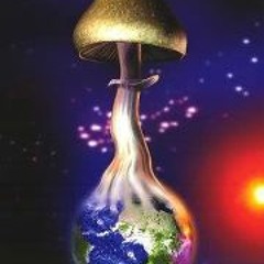 StichtingVrijfeesten 1