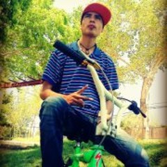 Ricardo Segura Figueroa