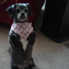 Theresa So Blessed Horton