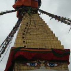 Shahtub Siddique Anik