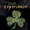 The Irish Experience