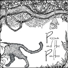 POSSUM & THE PANTHER