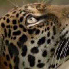 Gabriela Aguilar Arellano