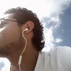 Rodrigo Gianetti Brandt