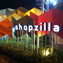 shopzillacarwash