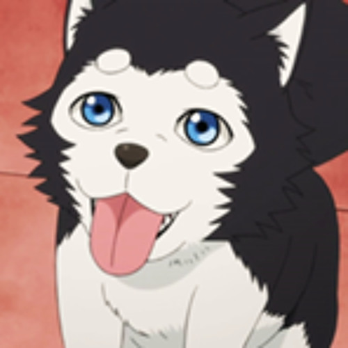 Nigou’s avatar