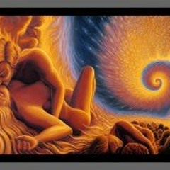 Following Forest Fires