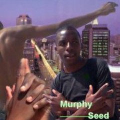 Murphy Mystical Seed