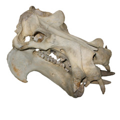 02 Breakout Button (Featuring Aleksi Eeben with Commodore Vic-20 Sounds)