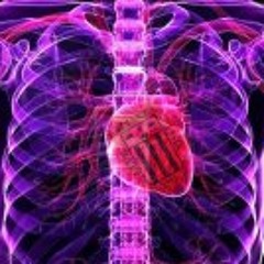 Lupu Saldarriaga Kevin