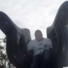 Mohamed Hussein Elnaggar