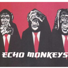 echo-monkeys