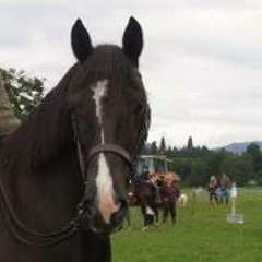 Briony-Jade Docherty