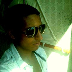 Ardo Vince