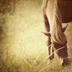 Audio Recording on Tuesday afternoon