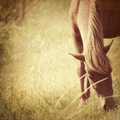 Audio Recording on Tuesday afternoon