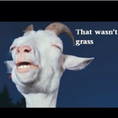 mitchyy95