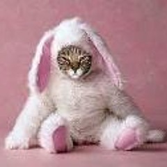 Alaniz Villagrana Uvaldo