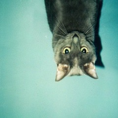 DubKitteh
