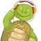 turtleflex