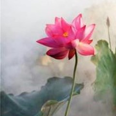 Natjaya Buddhachaiyakul