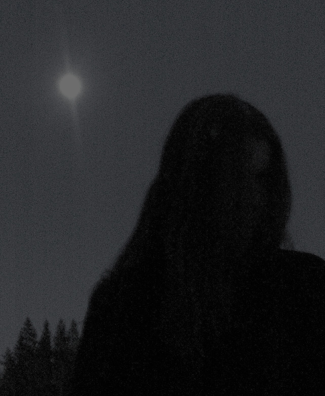 Havukruunu