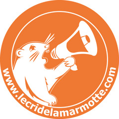 Lecridelamarmotte