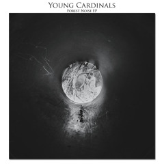 Young Cardinals TN