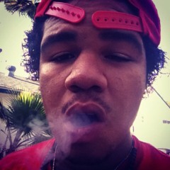 S.T.Y.N. the Kiid Havoc